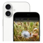 گوشی موبایل اپل مدل iPhone 17 CH دو سیم کارت ظرفیت 256 گیگابایت و رم 8 گیگابایت ریجستر شده - نات اکتیو اصلی و اورجینال - Image 2